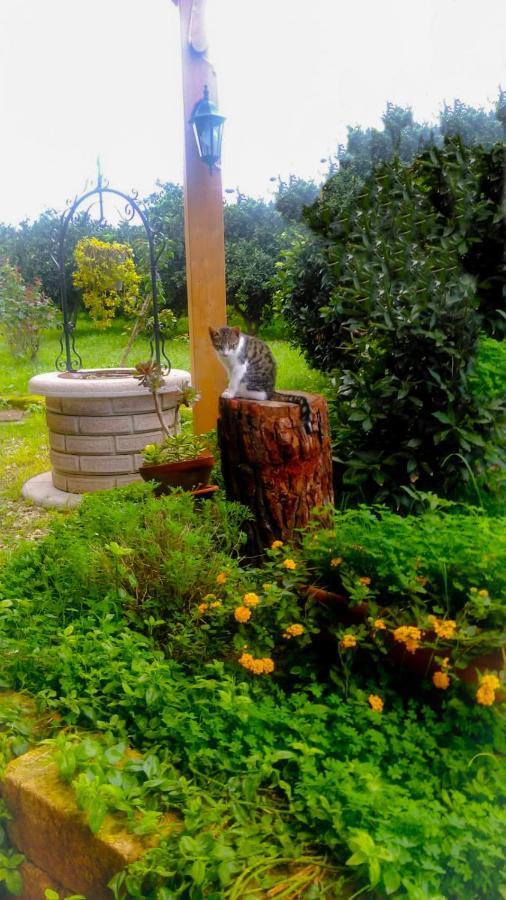 Вилла Il Giardino Del Sole Аньоне-Баньи Экстерьер фото