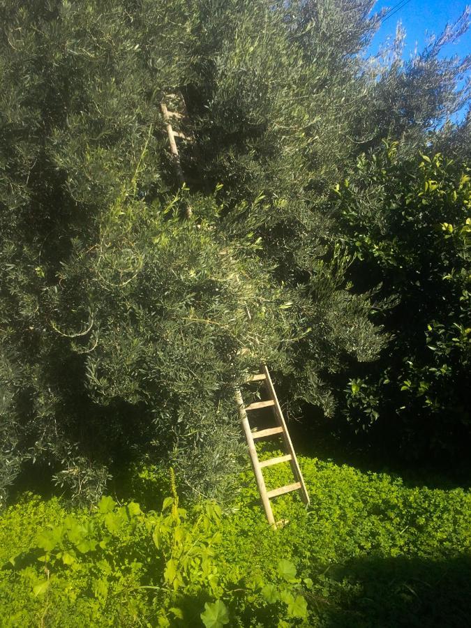Вилла Il Giardino Del Sole Аньоне-Баньи Экстерьер фото