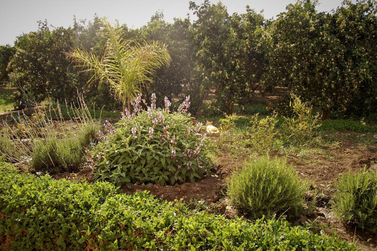 Вилла Il Giardino Del Sole Аньоне-Баньи Экстерьер фото